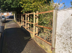 IMG_0963.jpeg