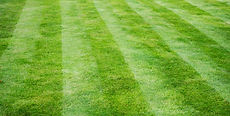 earning_lawn_stripes_header.jpg
