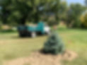IMG_3026.JPEG