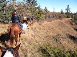 Trail Riding