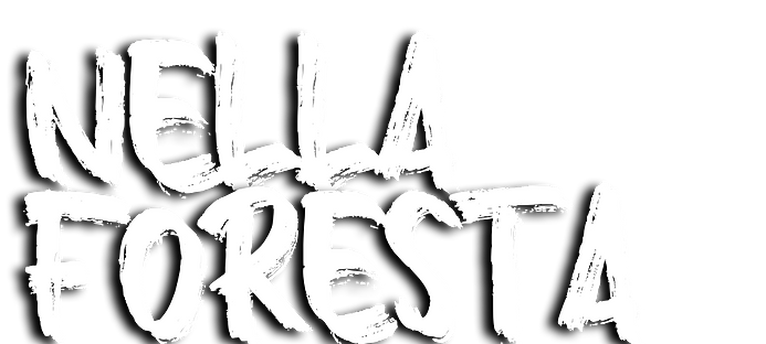 ENTRE FANTASIAS Y BATALLAS.png