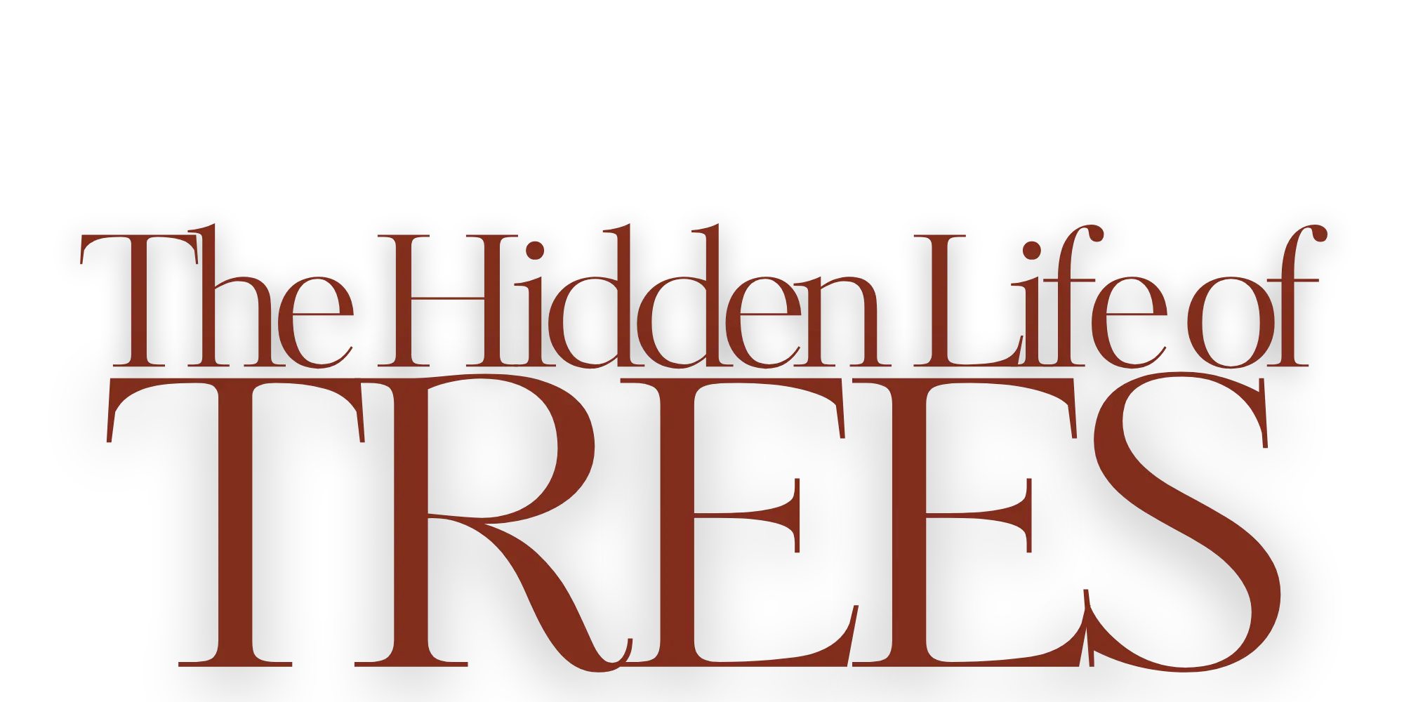 ENTRE FANTASIAS Y BATALLAS.png