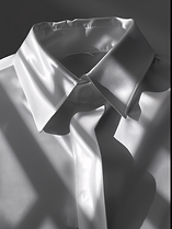 Elegant Shirt Collar.png
