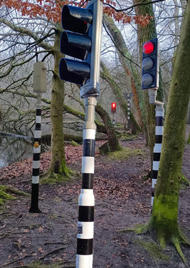 Forest and traffic lights, opposites, nature, urban, urbanisation, collage, photography, belonging, competing concepts, environment