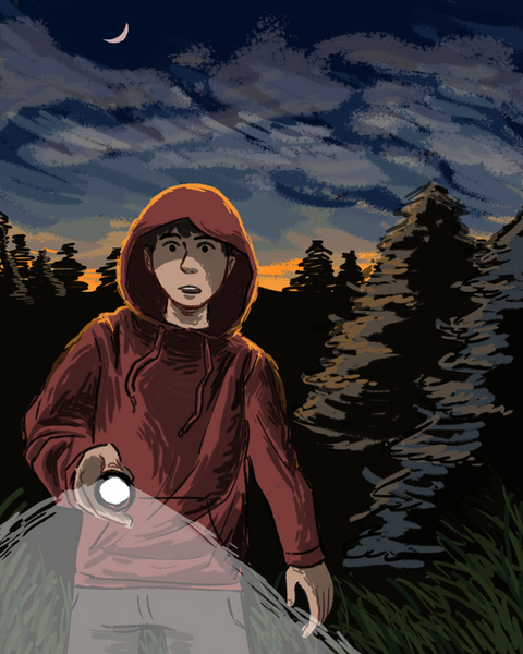Night Woods