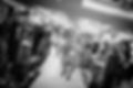 IMG-20240110-WA0004.jpg