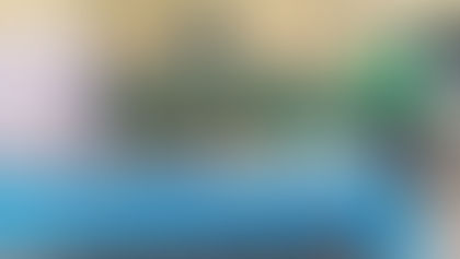 SENAR-AR/RO realiza curso de Doces, Geleias e Licores, no município de Nova Mamoré