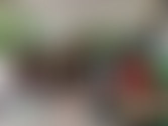 SENAR-AR/RO realiza curso de Mecânica e manutenção de motocicletas, no município de Colorado do Oest