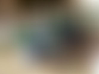 SENAR-AR/RO Realizou curso de rédeas e Casqueamento no Município de Castanheiras