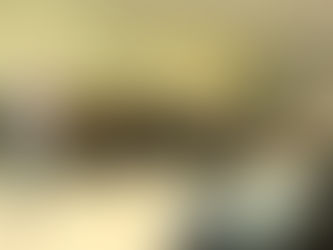 Fotos da 5ª Reunião do Grupo de Trabalho de Socioeconomia