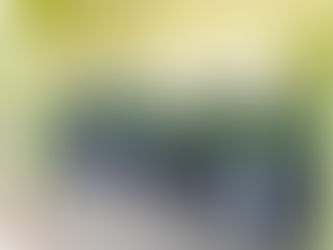 SENAR-AR/RO realiza curso de Saúde e Segurança do Trabalhador Rural, no município de Colorado do Oes