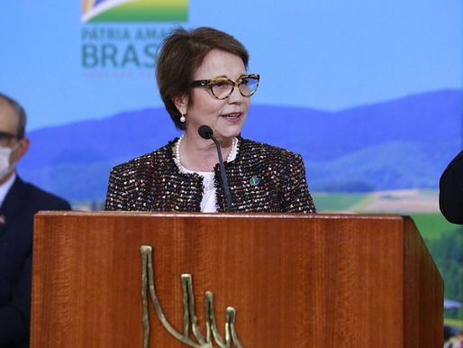 CNA avalia Plano Safra como positivo e defende que recursos cheguem aos produtores com taxas compatí