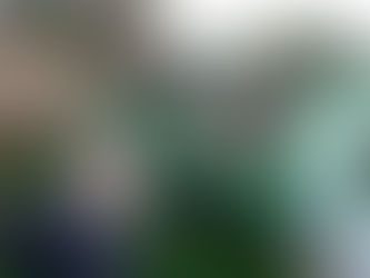 SENAR-AR/RO realiza curso de Apicultura, no município de Alta Floresta