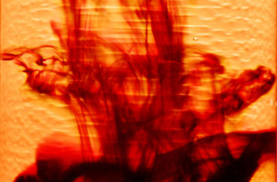 #fotografiadigital #abstractphotography
#fineartphotography
#fineartprints
#colorfulphotography
#impressãofineart