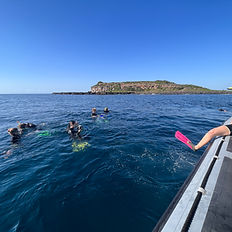 Snorkellers enjoying "snorkel with the turtles" at Cook Island NSW