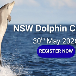 2026 NSW Dolphin Census primary photo