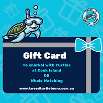 Tweed Turtle Tours Gift card