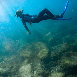 snorkeler at cook island freediving