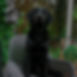 BetreuungTheo_edited_edited.jpg