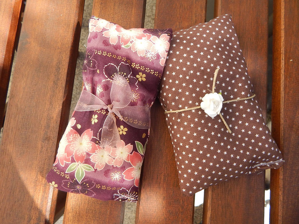 12002498_10153224126728865_8165859465978963246_o