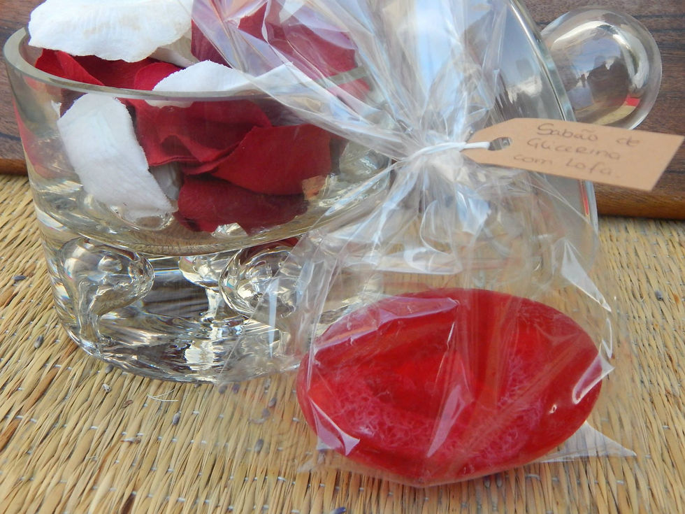 11741254_10153115348128865_8120292340567998752_o