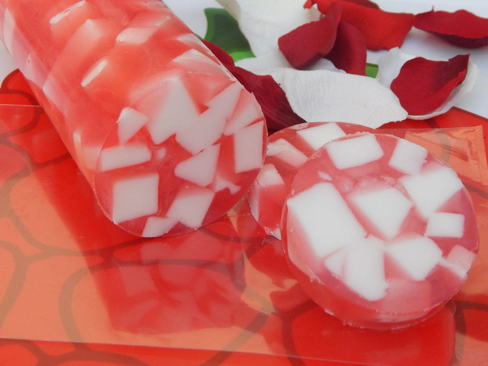 11722367_10153115349148865_4245756837687193589_o