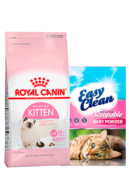 Royal Canin - PACK Kitten 7,5Kg + Arena 15Kg.