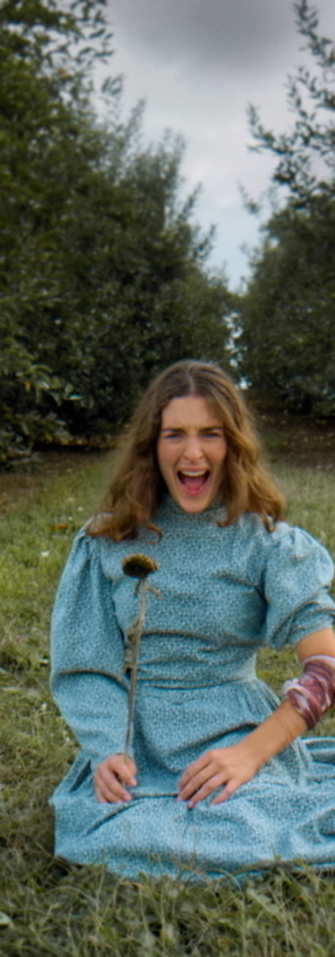 Sunflower Vincent Van Gogh Film Stills_1.1.144.png