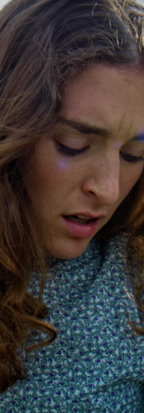 Sunflower Vincent Van Gogh Film Stills_1.1.138.png