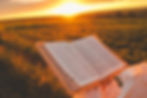 istockphoto-2157793530-612x612.jpg