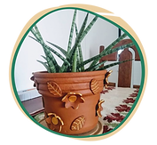 feira - botoes - ricactos.png