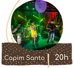 palco espiral - botoes-capim santo.png