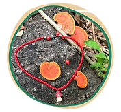 feira - botoes - amuleto.png