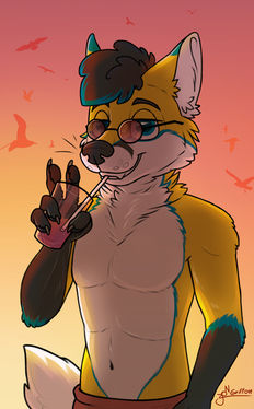 Flavo update 2022.jpg