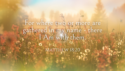 Beauty in diverse unique flowers growing in harmony together