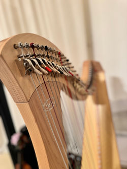 Harp brings the story to life