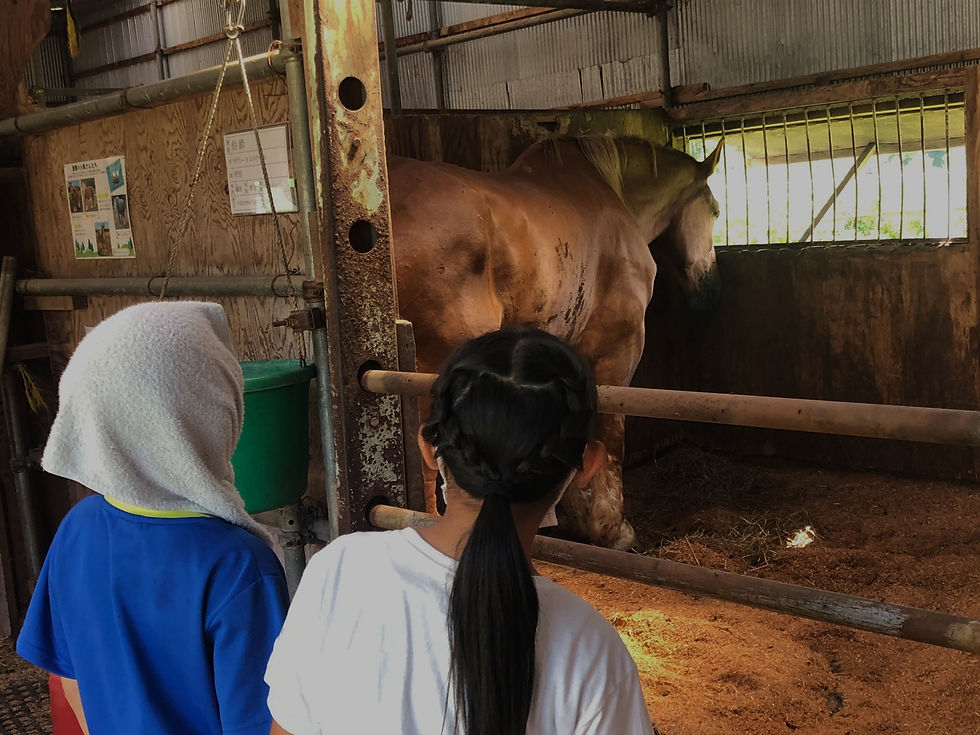 テストイベント