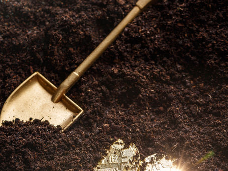 Digging for Treasure