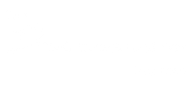 The-Precision-Matters-text.png