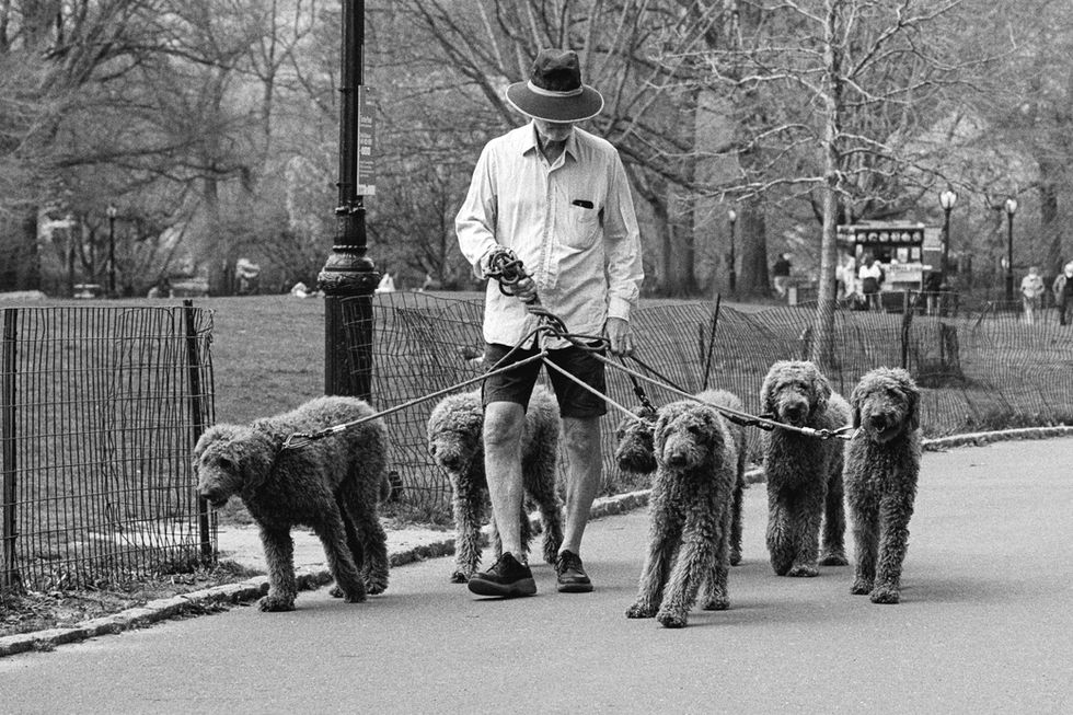 2021-04-09_Central Park_HP5_18-positive-2-2.jpg