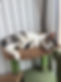 Bobun_2103261.jpg