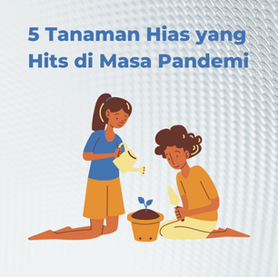 Cek 5 Tanaman Hias yang Hits di Masa Pandemi, Mengoleksi Tanaman Masih Menjadi Idola di Tahun 2021