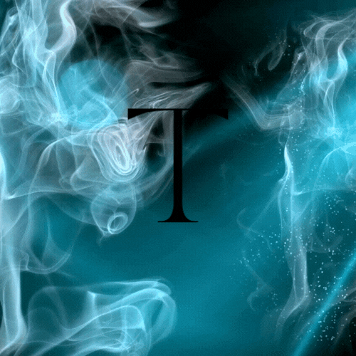 T Lee Designs Animated Logo