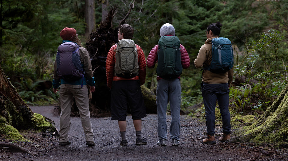 Four hikers stand side by side on a forest trail, facing away from the camera and looking into a dense, mossy woodland. Each person wears a backpack and outdoor clothing—puffer jackets, hats or a beanie, and sturdy shoes—suggesting a cool, damp day. The ground is a gravel path bordered by moss-covered logs and ferns, with tall evergreens surrounding them.