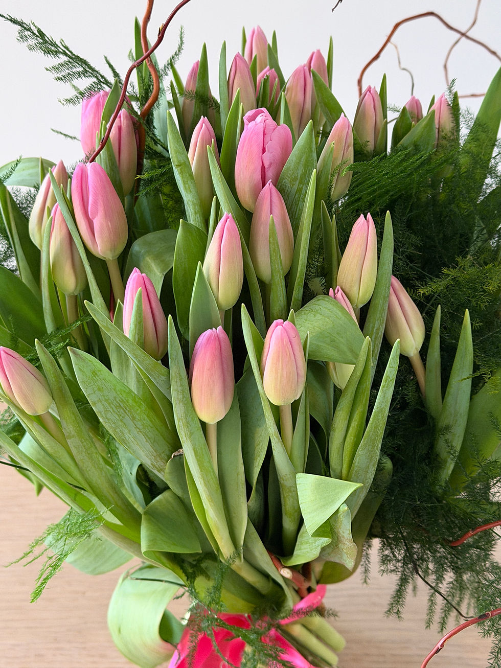 close up of pink tulips