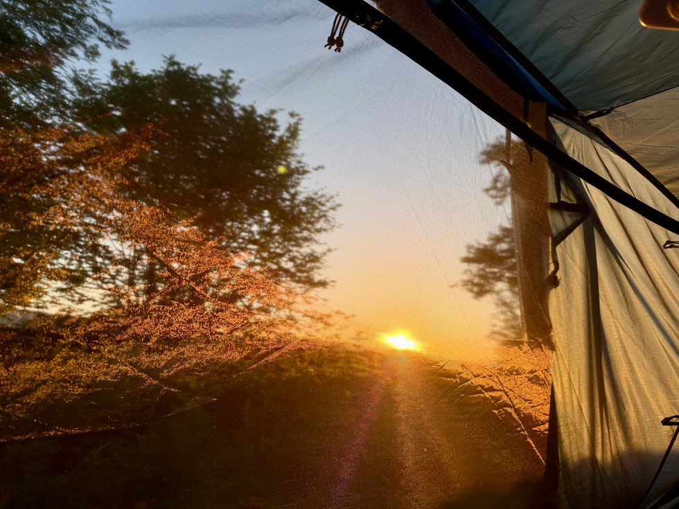 looking at the sun coming up from inside a tent