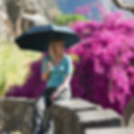 Lifeventure - Trek Umbrella Medium - Black - lady holding by pink bush