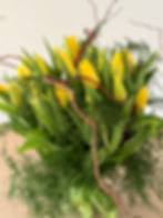 yellow tulips with willow