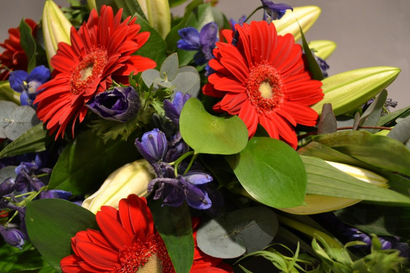 Red & Blue Spray - blomster designs flowers
