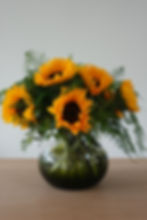 Sunflower in No. 23